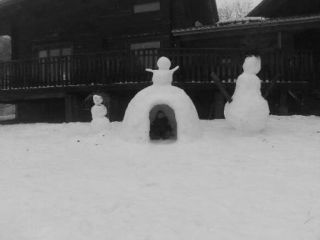 Chalet enneigé aux Deux Alpes